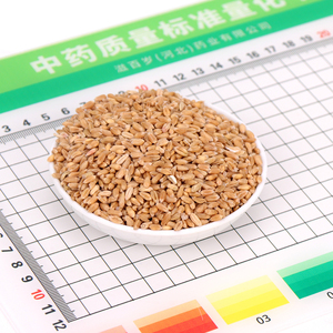 Trigo arruinado Fructus Tritici Levis Fu <span class=keywords><strong>Xiao</strong></span> <span class=keywords><strong>Mai</strong></span> Seco Alta calidad Venta al por mayor Precio bajo Exportación Directsale Multiusos - Product Image 3