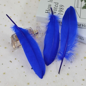 Bán Buôn Đầy Màu Sắc Lông Tự Nhiên Cầu Vồng 6-8 "/15-20Cm Lông Ngỗng Cho DIY Thủ Công Mỹ Nghệ Làm Đồ Trang Trí - Product Image 5