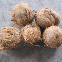 Machine à éplucher et à trancher la fibres de coco, g, éplucheuse