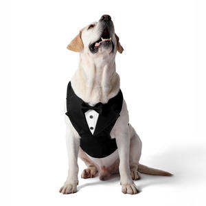 Tanpopo, venta al por mayor, traje de esmoquin, arnés para perro, conjunto de correa, chaleco de lujo duradero personalizado para mascotas, accesorios, azul, vino, rojo, diseño elegante - Product Image 4