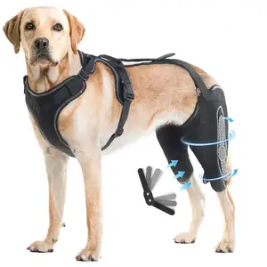 Support de genouillère pour chien personnalisé pour les jambes arrière avec charnière métallique, attelle de soutien pour ACL/CCL,