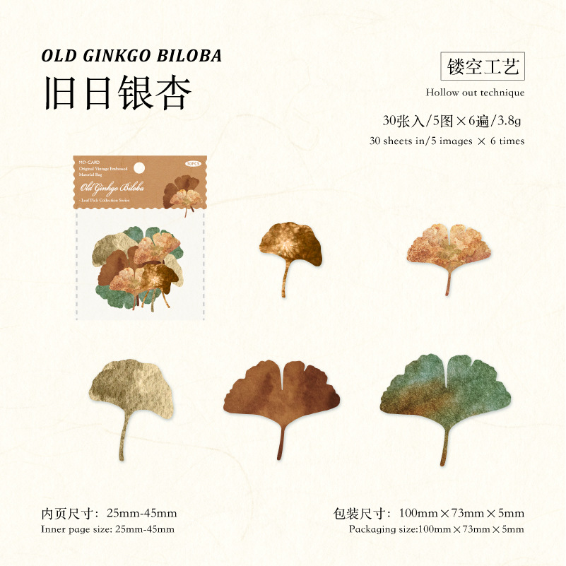 D Old Ginkgo