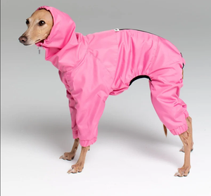 <span class=keywords><strong>Chubasquero</strong></span> para perros personalizado fabricante nuevo diseño elegante cómodo impermeable cálido ligero sudaderas con capucha impermeable <span class=keywords><strong>Galgo</strong></span> para mascotas - Product Image 4