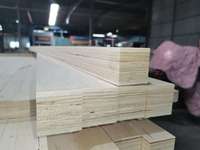 Fournisseur chinois de palettes en bois LVL 27*27*3600 avec placage en bouleau, écologiques, de première qualité, pour le cœur de porte