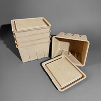 Conteneurs durables en pulpe moulée pour fruits et boîtes d'emballage pour œufs en pulpe de papier avec matériau en fibres écologiques