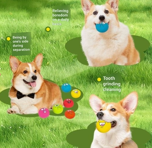 Palla Sonora per Cani in Gomma Ecologica con Faccina Divertente, Giocattolo Interattivo Resistente per Cuccioli - Product Image 5