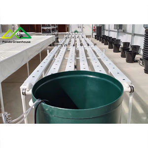 نظام الزراعة المائية المتكامل في الدفيئات: حل متكامل لتربية الأسماك والخضروات للإنتاج التجاري - Product Image 1