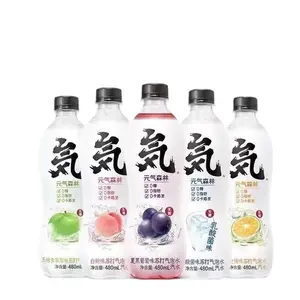 China Best-selling Exotic Drinks 0 Fat 0 Calorie 0 Sucrose Replenish Energy Bubbly Water Grapefruit Soda Sparkling Water