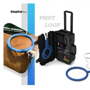 최신 PMST 루프 물리 치료 기계 PEMF 말 Pemf 자기 치료 장치