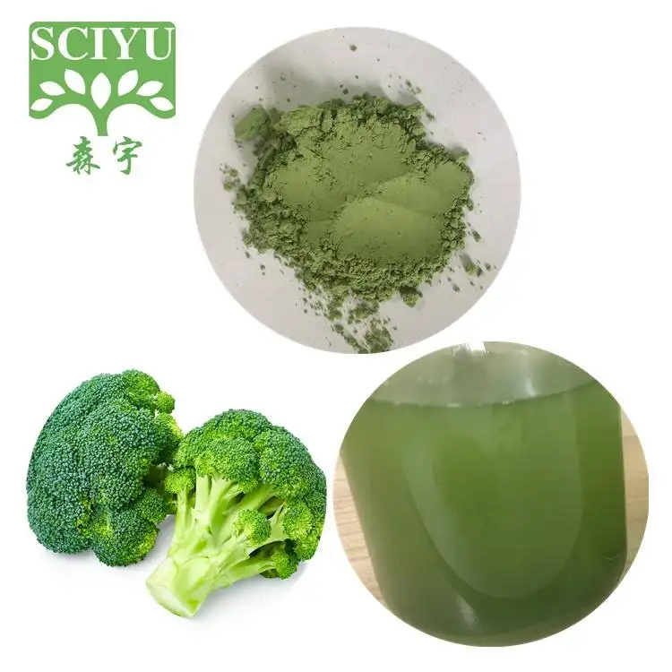 Broccoli Spruit Extract Poeder Broccoli Bloemknop Extract Poeder