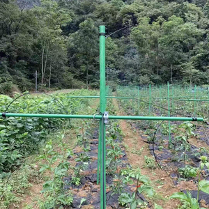 Tige en fibre de verre agricole haute résistance pour tente anti-moustiques, multi-spécifications, technologie de pultrusion, pour la construction de supports de tomates - Product Image 1