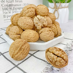Usine en gros saveur naturelle propre coquille lavée <span class=keywords><strong>noix</strong></span> <span class=keywords><strong>noix</strong></span> <span class=keywords><strong>noix</strong></span> et collation <span class=keywords><strong>de</strong></span> fruits secs - Product Image 3