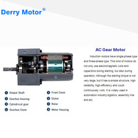 Moteur à induction à vitesse variable DERRY MOTOR 25W 4IK25GN-C 220V 4GN25K avec réducteur monophasé, efficacité IE2, montage à bride
