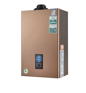 Chauffe-<span class=keywords><strong>eau</strong></span> à gaz à bas <span class=keywords><strong>prix</strong></span> Offre Spéciale chaudière combinée à gaz sans réservoir Double allumeur 16 litres 32KW 20 Lite 40KW chaudière à gaz murale - Product Image 3
