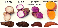 Meilleure Vente Poudre d'Ube Alimentaire de Qualité OEM/ODM Philippines Extrait d'Ube Pur Poudre d'Igname Violette