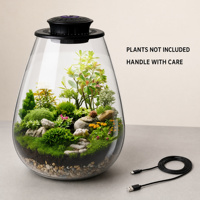 Terrarium de bureau en verre avec lumière de croissance pour plantes, petit aquarium, plantes succulentes, mousse, mini-jardinage, paysage miniature