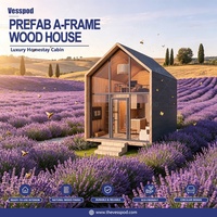 Maison Triangulaire de Luxe Préfabriquée, Petite Cabine à Structure en Acier, Petite Maison à Ossature pour Application en Villa