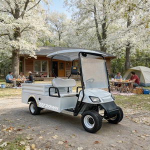 Voiturette de golf haute performance 2 places, électrique, moteur 60V 5KW, vitesse rapide, durable pour les terrains de golf et l'usage commercial - Product Image 1