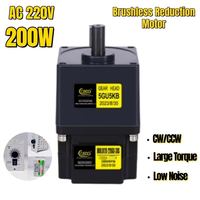 Motor de Reducción Sin Escobillas PLC AC 220V 200W, Alto Torque, 3000 rpm, Velocidad Ajustable, Venta al Por Mayor