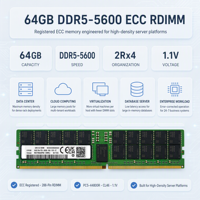 Mémoire serveur AC512779 256 Go DDR5-4800 ECC PC5-38400 1.1V Reg DIMM CL40 pour ferme de machines virtuelles, fourniture OEM