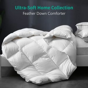 Customizable <strong>King</strong> <strong>Size</strong> White Goose <strong>Duck</strong> <strong>Feather</strong> Down Filled Bedding Comforter <strong>Duvets</strong> Solid &amp; Vintage Pattern for Home &amp; Hotel - Product Image 2