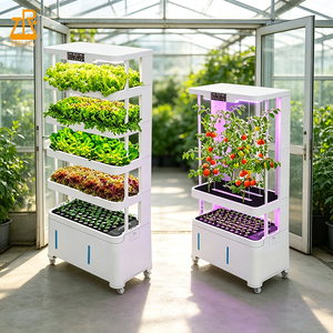 Système de culture verticale, système hydroponique d'intérieur, jardin en tour, jardin d'intérieur intelligent, jardinière intelligente, tour de culture <span class=keywords><strong>avec</strong></span> éclairage, tour à tomates - Product Image 1