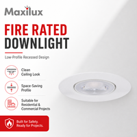 Plafonnier LED encastré ignifuge avec finition haut de gamme et protection fiable pour les entrepreneurs