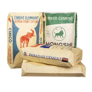 China Original Factory Kraft Paper Localtion PP Valve Cement Bag Pp+paper 2ply Moisture-proof Cement Bag