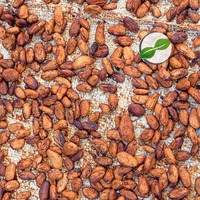 Granos de Cacao Forastero de Bali, Indonesia, Crudos y Secos, para Uso Profesional y Doméstico, que Proporcionan un Chocolate Cremoso y Suave con Notas Profundas y Ricas