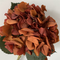 B-1396 Arrangements floraux de haute qualité pour la décoration de table à la maison, Hortensia à bord roulé, toucher réel, pour la Saint-Valentin et Thanksgiving
