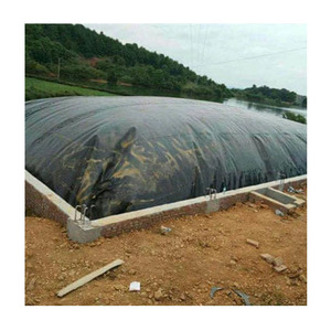 Mm 2Mm Đập Linner Biodigester Bãi Rác Geomembranas HDPE Màng Đất Nông Nghiệp Ao Lót - Product Image 4
