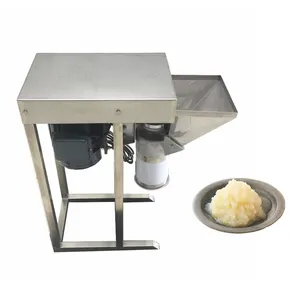 Mini Stainless Steel Ginger Garlic Paste Grinder Crusher Making Machine