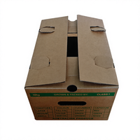 Emballage en carton ondulé pour légumes et fruits, prix de gros personnalisé, boîtes d'emballage avec trou de transport, doublure en éponge, dossiers