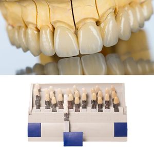 Modèle de <span class=keywords><strong>dent</strong></span> 29 couleurs pour matériel dentaire Source d'alimentation manuelle Produits de blanchiment des dents Dispositif de beauté Plaque colorimétrique - Product Image 5