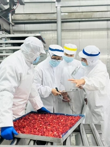 Prix d'usine – Fraise coupée séchée par congélation, croustillante, en bouteille plastique de 120 g – Snacks chinois sucrés en vrac - Product Image 5