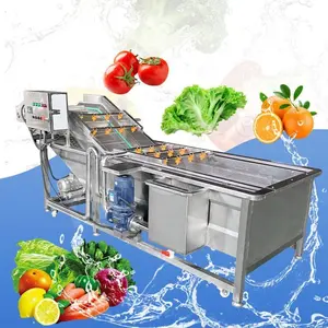 Industrial fruit and vegetable washer ultrasonic vegetable washing pelling machine