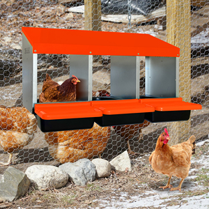 Cage à poules en métal avec nichoirs roulants pour la ponte des œufs, poulailler - Product Image 4