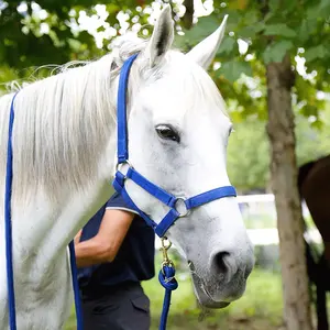 Adjustable Nylon Horse Halter Webbing Rope Equestrian Riding Wear Outdoor Racing Woven Belts Bridle