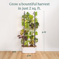 Gardyn Hydrocultuur Kweeksysteem Voor Kruiden En Groenten Beste Binnentuin Voor Huis & Kwekerij Ontwerp Bloempot Planter