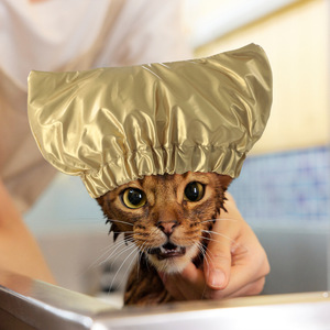 Pet Shower Cap For Dog Waterproof Head Cover Bath Hat Small Size Polyester Material - Product Image 4