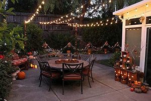 Ip65 Không Thấm Nước 10M/33ft Đồng <span class=keywords><strong>G40</strong></span> Chuỗi Đèn Năng Lượng Hiệu Quả Hoàn Hảo Cho Sân Vườn Sân Sau Và Đảng Trang Trí Nội Thất - Product Image 5