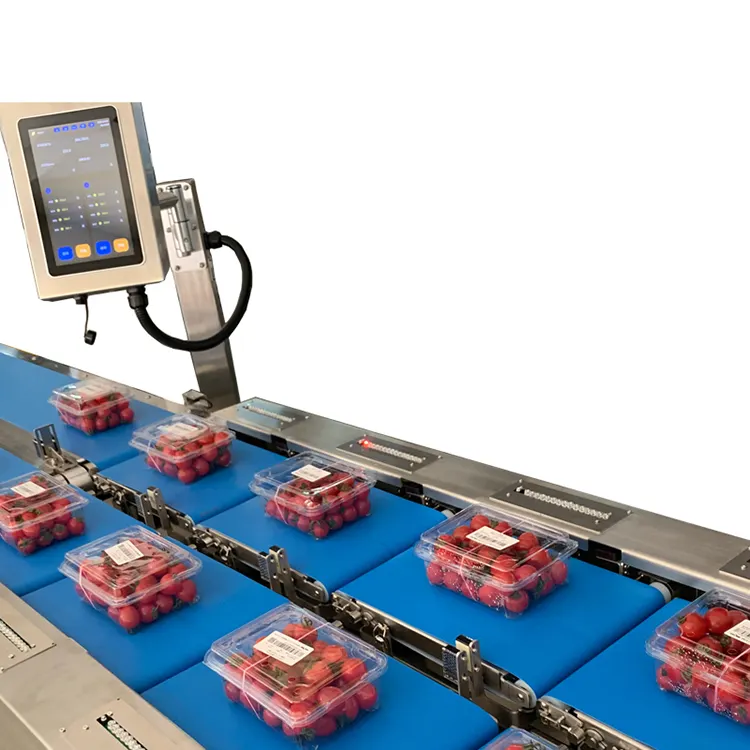 Полуавтоматическая комбинированная машина для овощей и фруктов, 8 головок, линейный вес, весы для домашней птицы