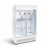 Pendingin Bir Portabel Stainless Steel dengan Roda, Kompresor Terintegrasi, Kulkas Minuman