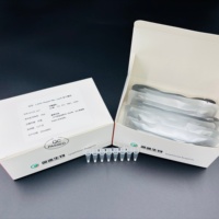 24 pruebas/kit Streptococcus (SS) Kit de detección de ácido nucleico (sonda fluorescente PCR) Reactivos químicos