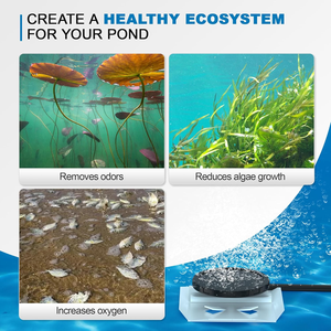 Aérateur de bassin sans huile HCEM AC 600W, pompe à piston silencieuse, moteur, capacité de 3 acres, aération haute efficacité pour les fermes aquacoles. - Product Image 5