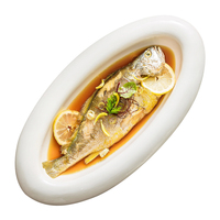 Assiette Thermique Ovale Blanche Créative Extra Large pour Hôtels, Restaurants et Cuisines Privées – Vaisselle Occidentale en Céramique