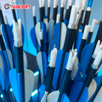 Flèches d'entraînement pour arc recurve, pratique, adultes, durables, en fibre de verre, 6 mm, lot de 10, plumes en plastique Yulong, personnalisables, tir à l'arc