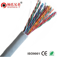 Câble de communication multipaire CAT5e de haute qualité Brothers-Y 2 20 25 50 100 300 paires Guangdong