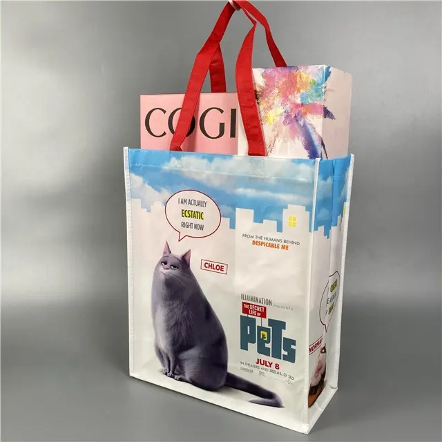 新しい高品質ラミネート不織布バッグ再利用可能な不織布スーパーマーケットショッピング食料品バッグピクニックフードバッグ
