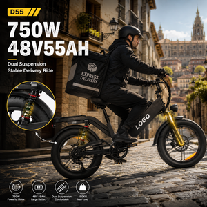 Bicicleta Eléctrica de Carga D55, 48V55Ah, Neumático Grueso de 20 Pulgadas, 750W, E-MTB, 240km de Autonomía, Bicicleta de Reparto OEM de Fábrica - Product Image 1